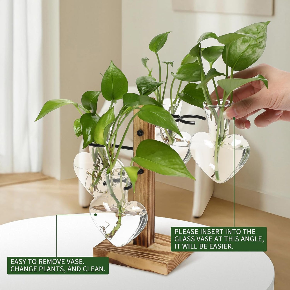 Plants Propagation Stations Plant Terrarium Kit Glass Planters for Indoor Plants House Plant