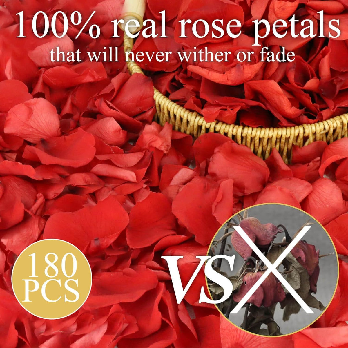 200Pcs Dried Real Red Rose Petals, Preserved Flower Petals 1.75oz for Gifts Wedding Party Decor