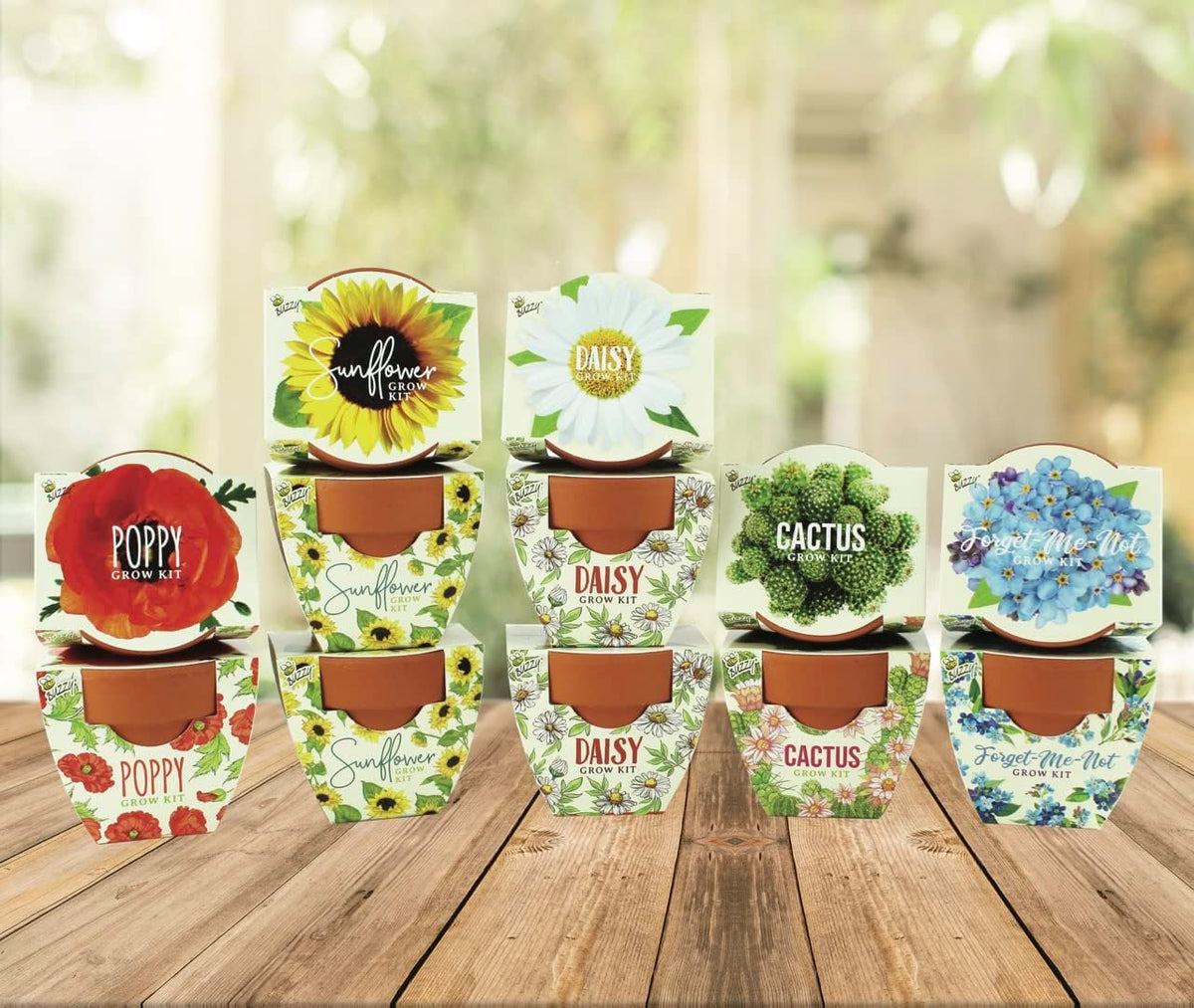 BUZZY Seeds Mini Terracotta Pots 12-Pack with Plant Seeds, Poppy, Sunflower, Daisy, Cactus and