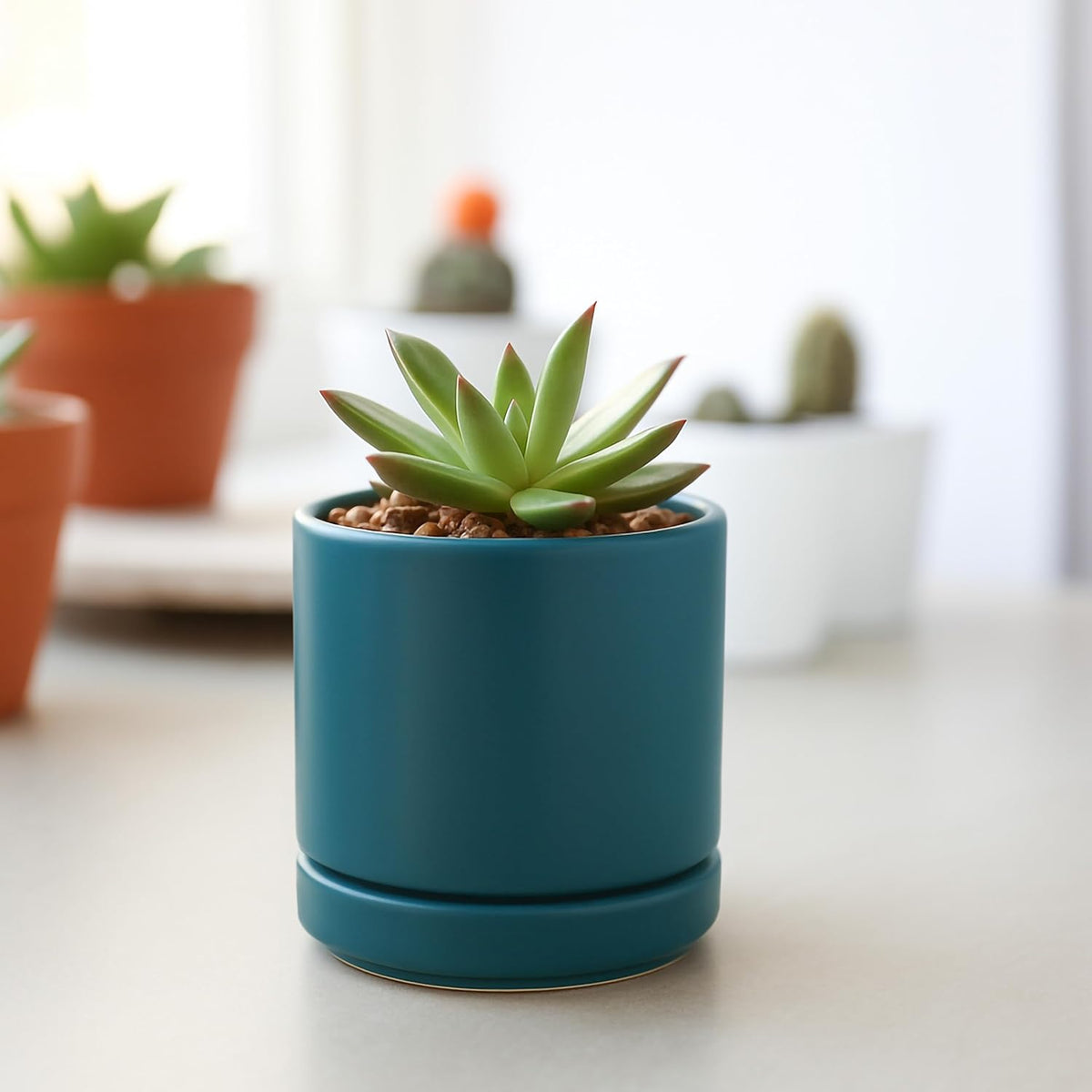 D'vine Dev Set of 4 Small Ceramic Plant Pots, 3.5 Inch Succulent Planter Pot for Plants with