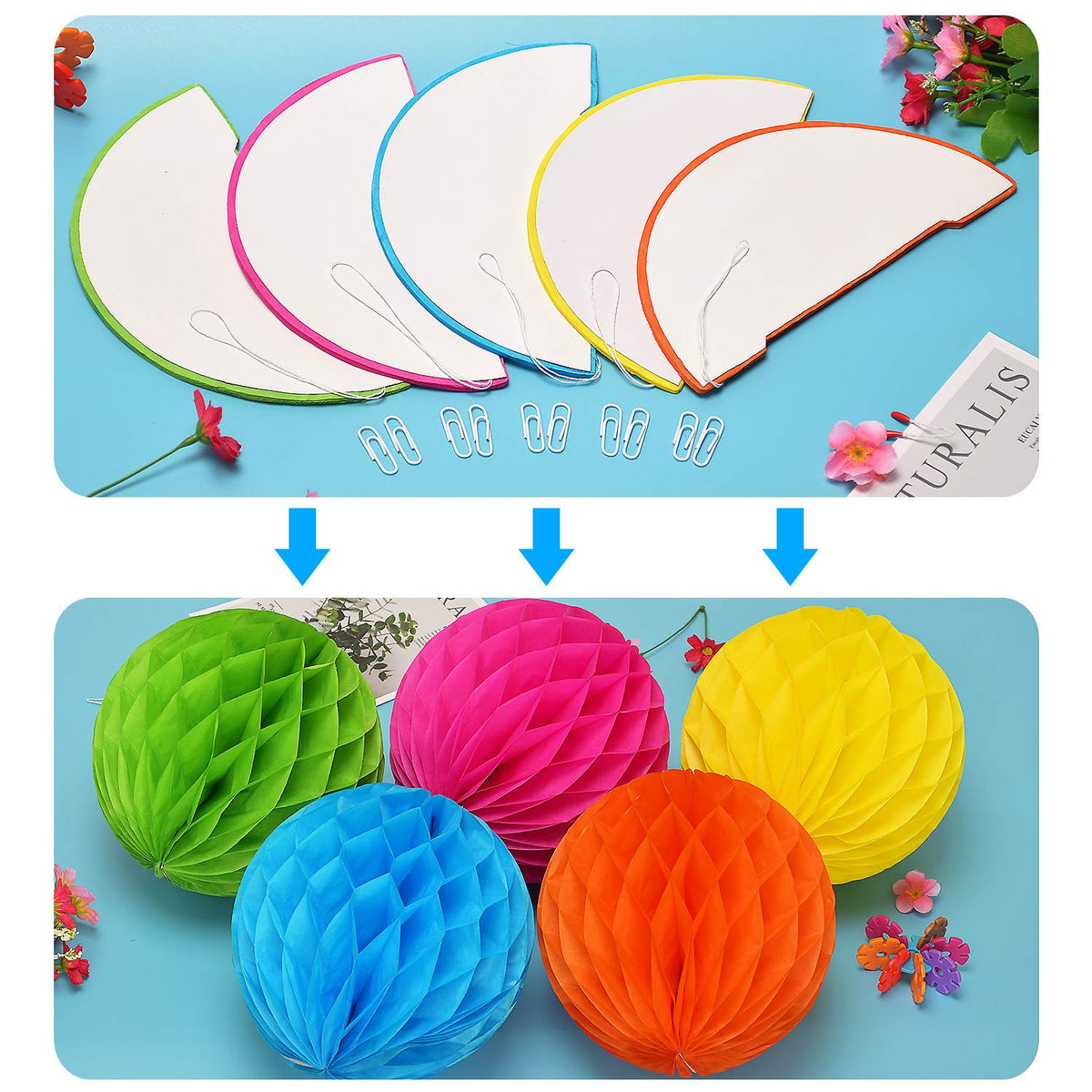 Colorful Paper Party Decorations, Tissue Paper Flower&Party Pom Poms wth Swirl Streamers, Premium