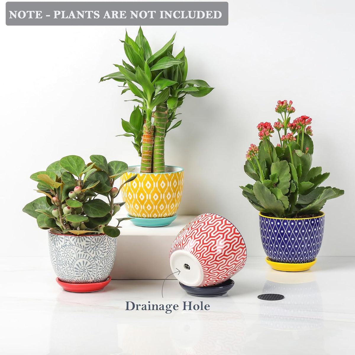 Selamica Ceramic Succulent Pots with Drainage Holes, Small Flower Pots 3.5 Inch Plant Pots for