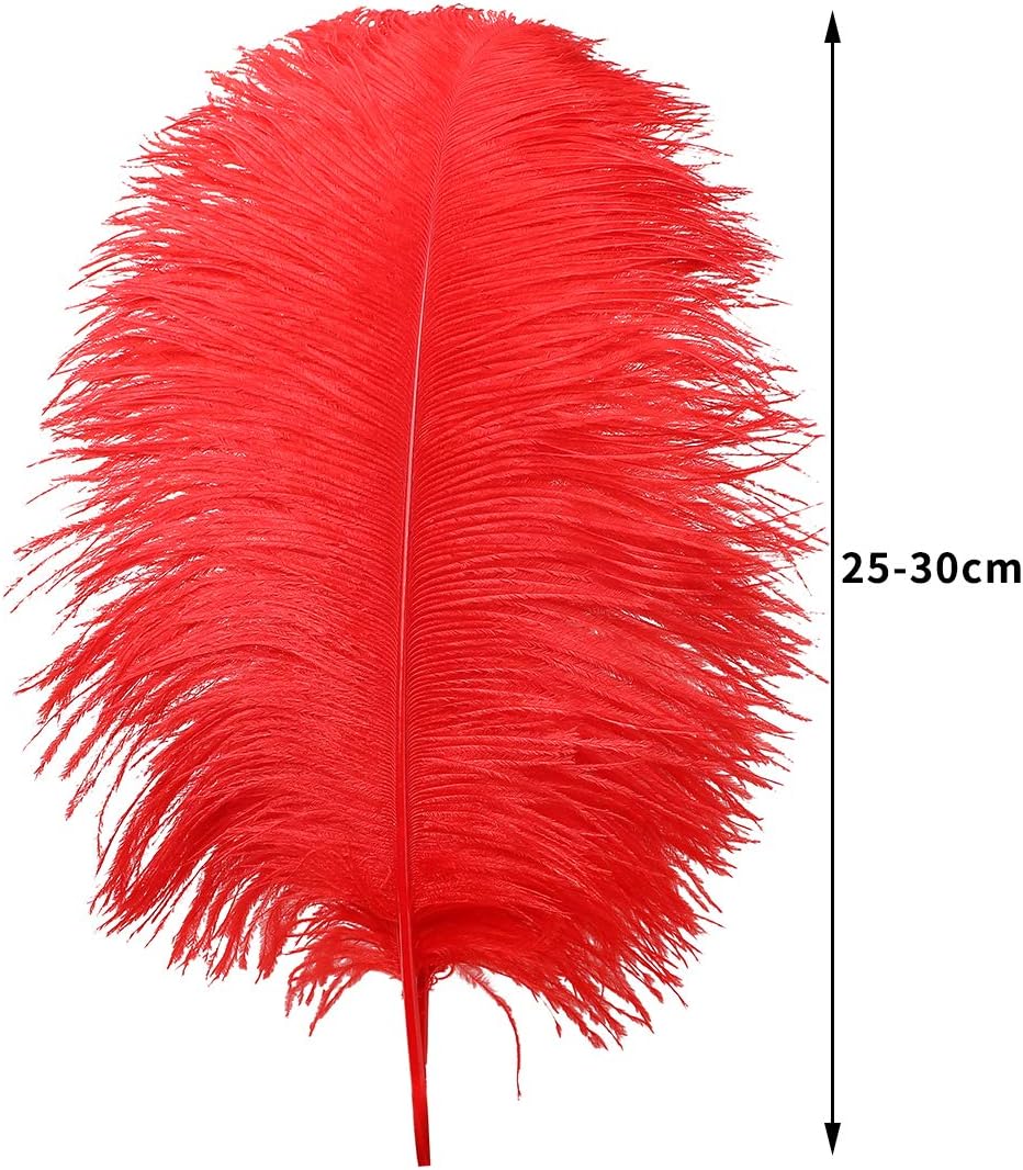 24pcs Natural Bright Red Ostrich Feathers 10-12inch (25-30cm) for Wedding Party Centerpieces，Flower