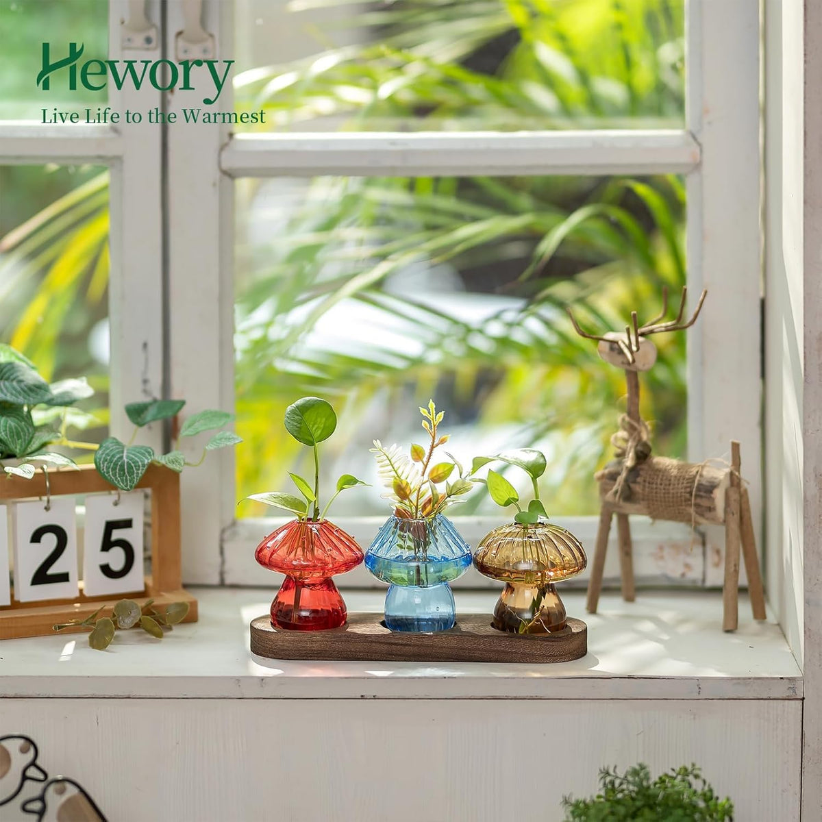 Glass Propagation Station for Plant: Mushroom Planter with Wooden Stand for Home Office Decor