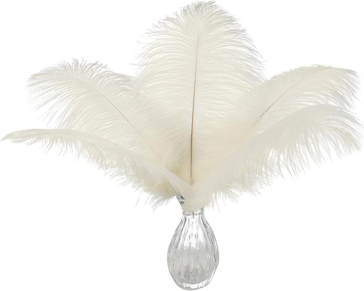 Ballinger Beige Ostrich Feathers Bulk - 24pcs 12-14inch Cream Feathers for Vase,Wedding Party