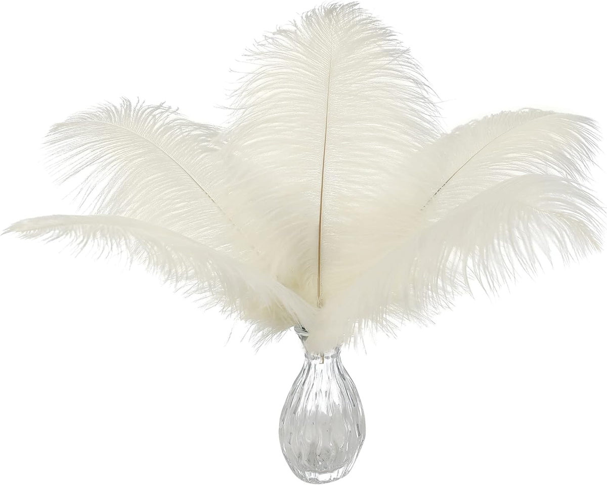 Ballinger Beige Ostrich Feathers Bulk - 24pcs 10-12inch Boho Feathers for vase，Wedding Party