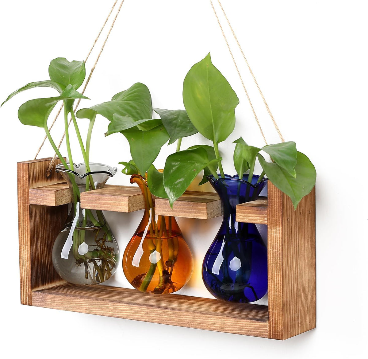 Plant Propagation Station Plant Terrarium Unique Birthday Gifts for Women Home Office Decor Planter
