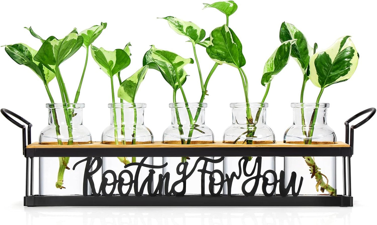THYGIFTREE Plant Propagation Stations, Mothers Day Plant Lover Gifts for Mom Women Rooting for You