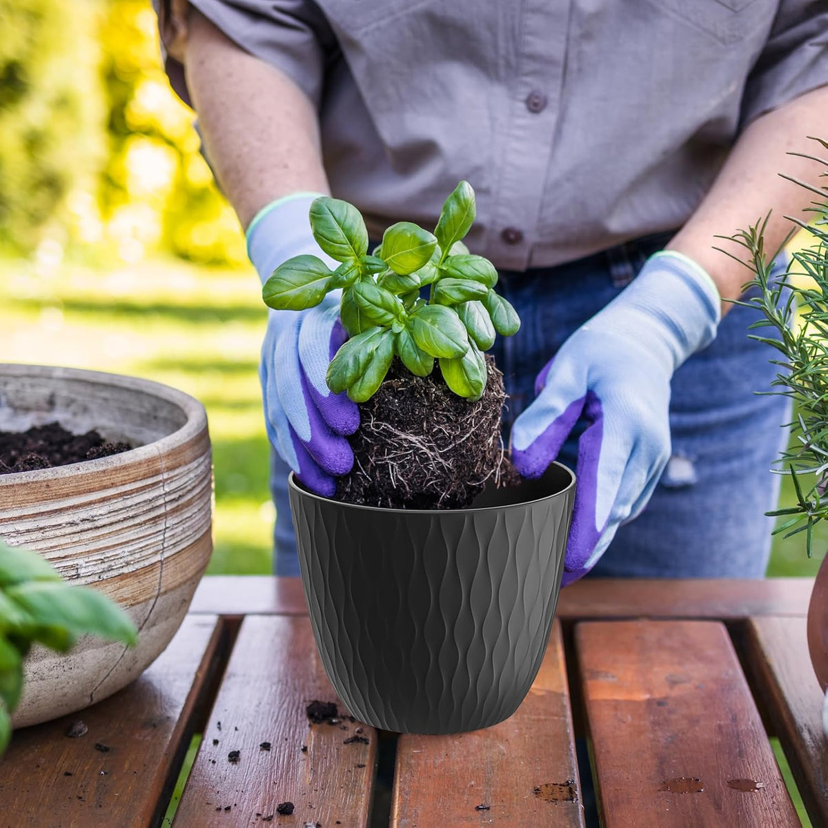 6 inch Plant Pots, 5 Pack Flower Pots with Drainage Holes and Saucers for Indoor Plants, Plastic