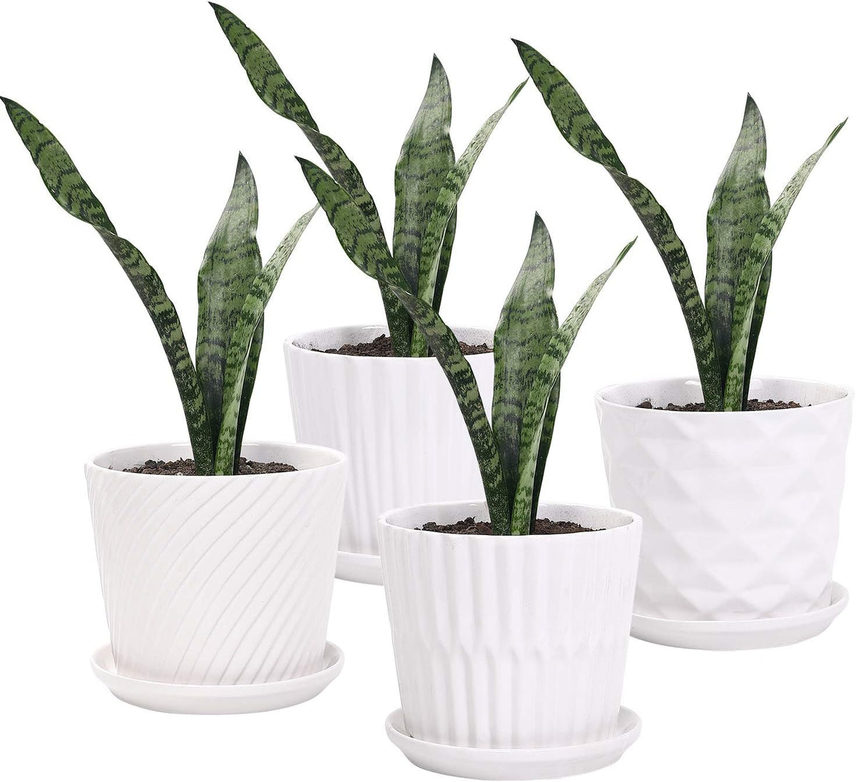 Plant Pots - 5.5 Inch Cylinder Ceramic Planters with Connected Saucer, Pots for Succuelnt and