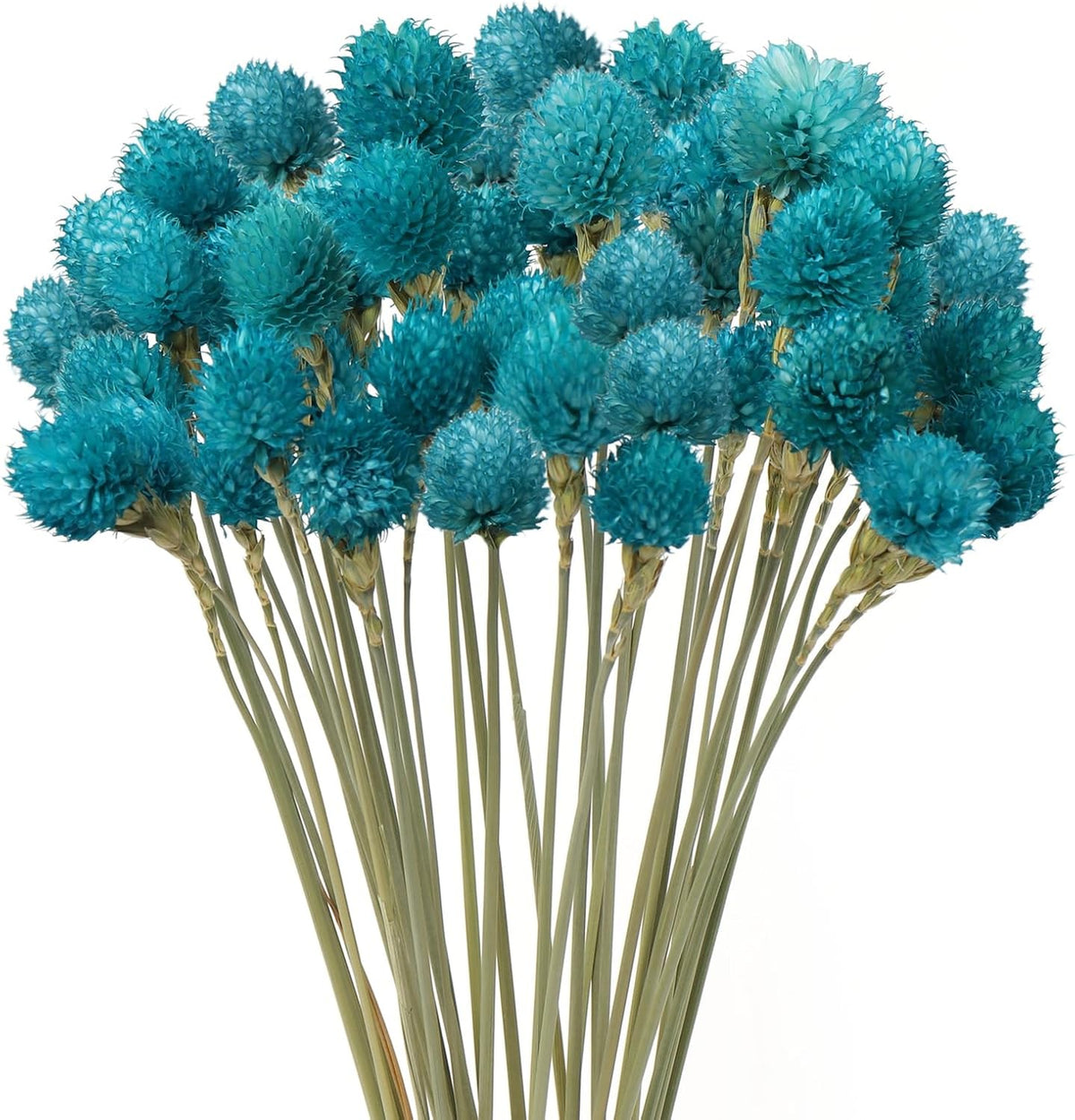 Dried Flower Tiffany Blue Globe Amaranth with Wheat Straw Natural - 40PCS Bouquet for Vase Home