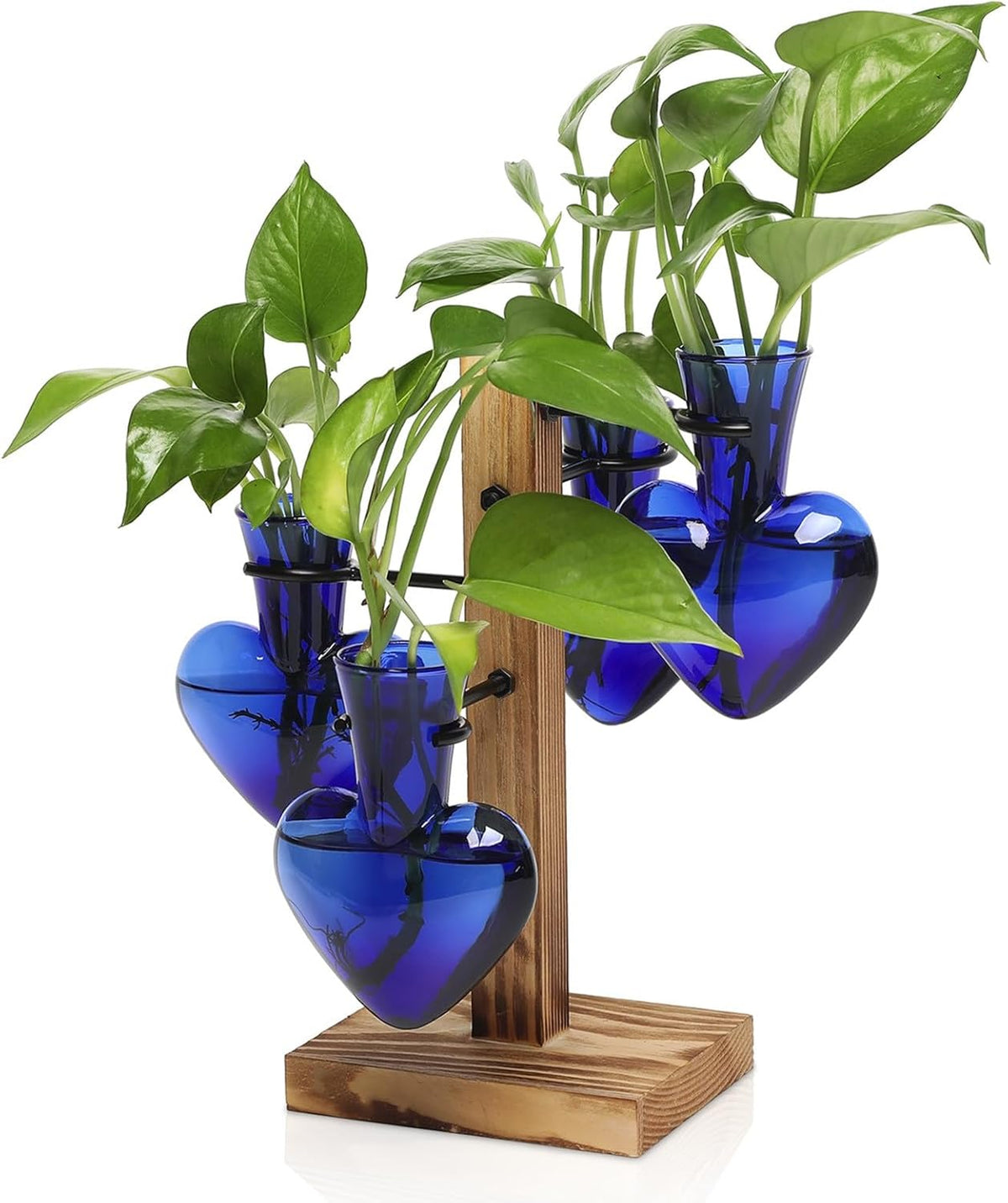 Plants Propagation Stations Plant Terrarium Kit Glass Planters for Indoor Plants House Plant