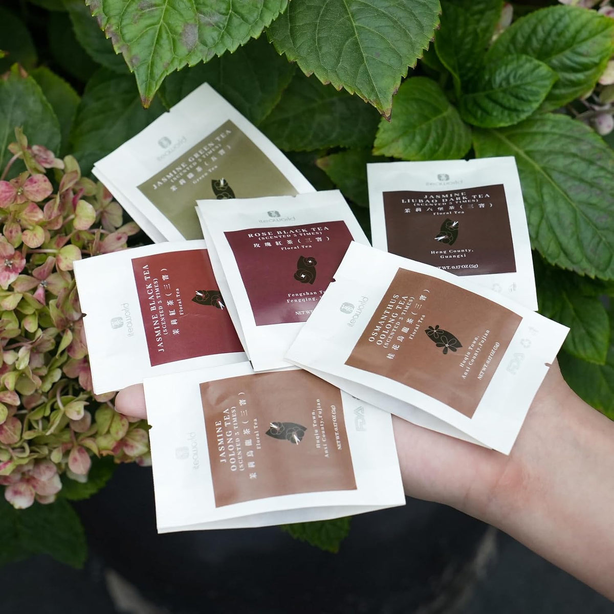 iTeaworld Chinese Flower Tea Sampler - 6 Flavor Mixed Pack (Jasmine Black/Green/Tieguanyin/Liu Bao