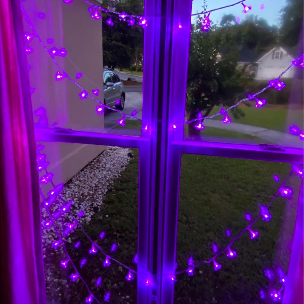 Cute Flower String Lights, USB & Battery Lighted Decorative Fairy Cherry Blossom Indoor Bedroom