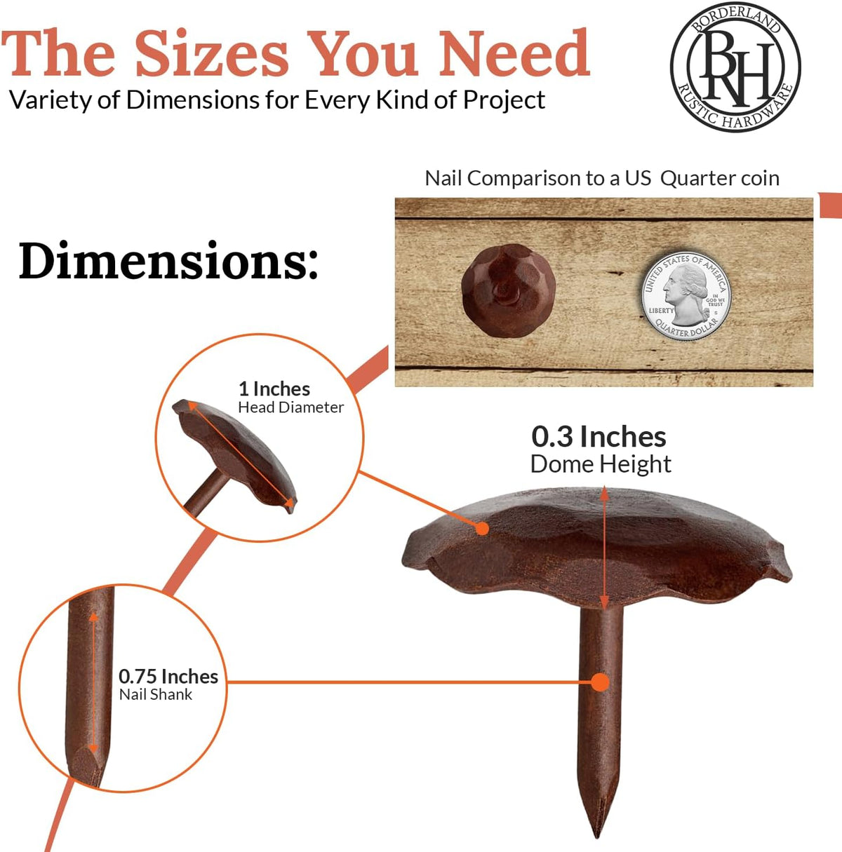 10 Pack 1" Small Round Head Iron Clavos Decorative Nails – Sealed Rusted – Handmade Rustic Round