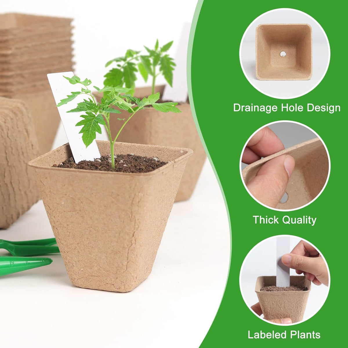 Square Peat Nursery Pots 150 Pcs 3in Biodegradable and Label, Used for Outdoor Gardens in Plant