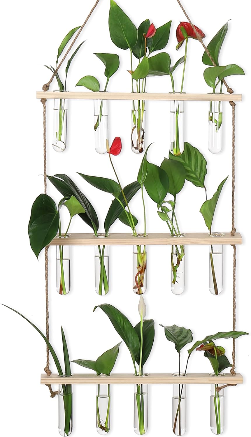 YIBOT Propagation Stations,3 Tiered of Propagation Tubes with Wooden Stand,Mini Glass Test Tubes