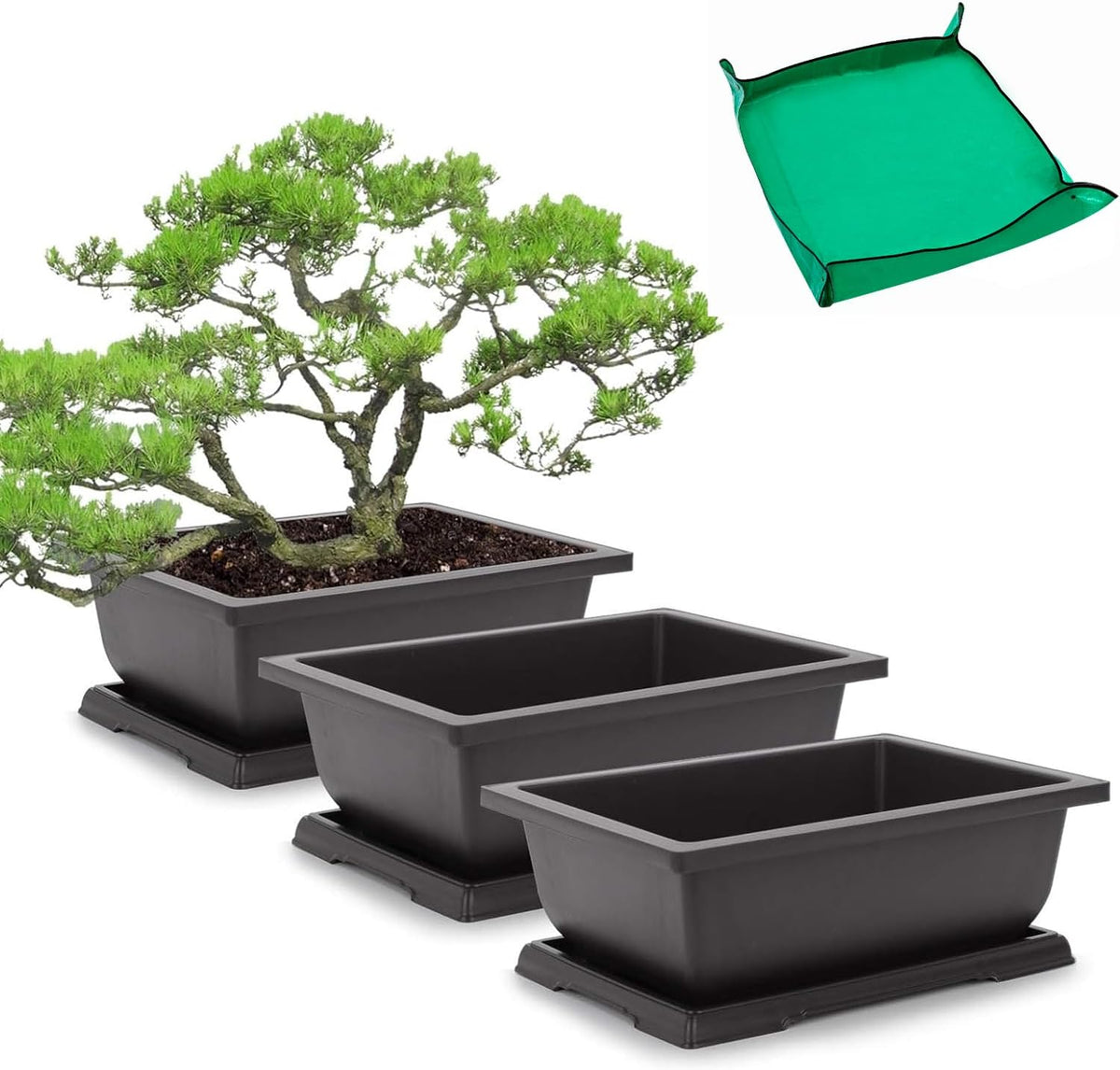 GROWNEER Bonsai Pots 3 Packs 11 Inch Bonsai Tree Training Pot with Humidity Drainage Trays &