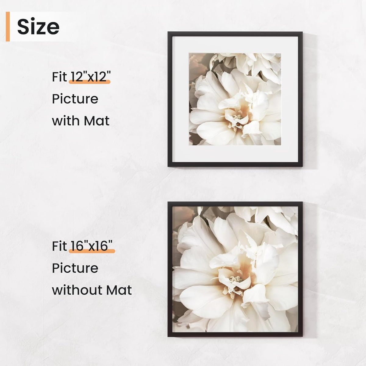 16x16 inch Picture Frame, 16x16 Photo Frames with 12x12 Removable Mat - High Definition Plexiglass