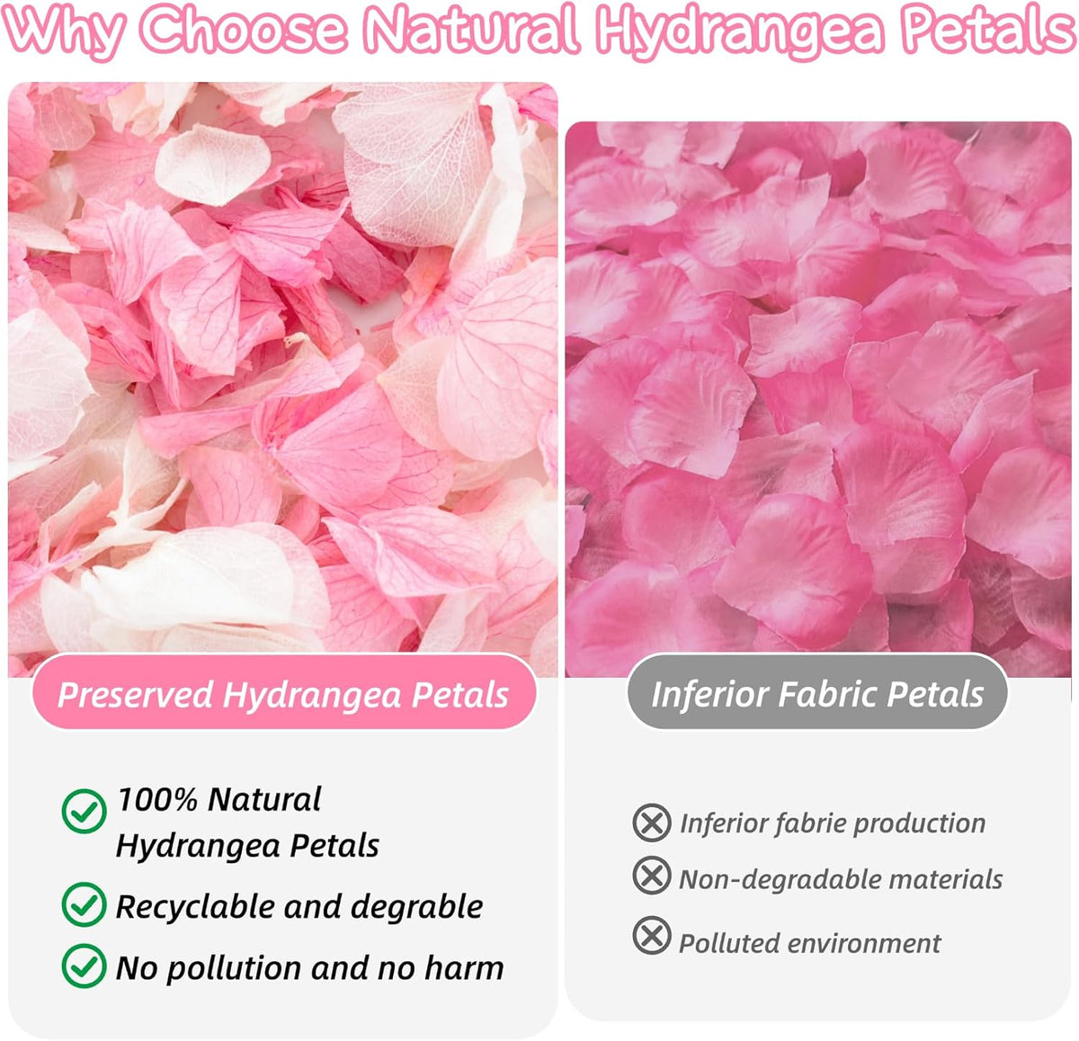 1500+ Real Dried Hydrangea Flower Petals -1.06Oz Real Natural Preserved Petals for Wedding, Party