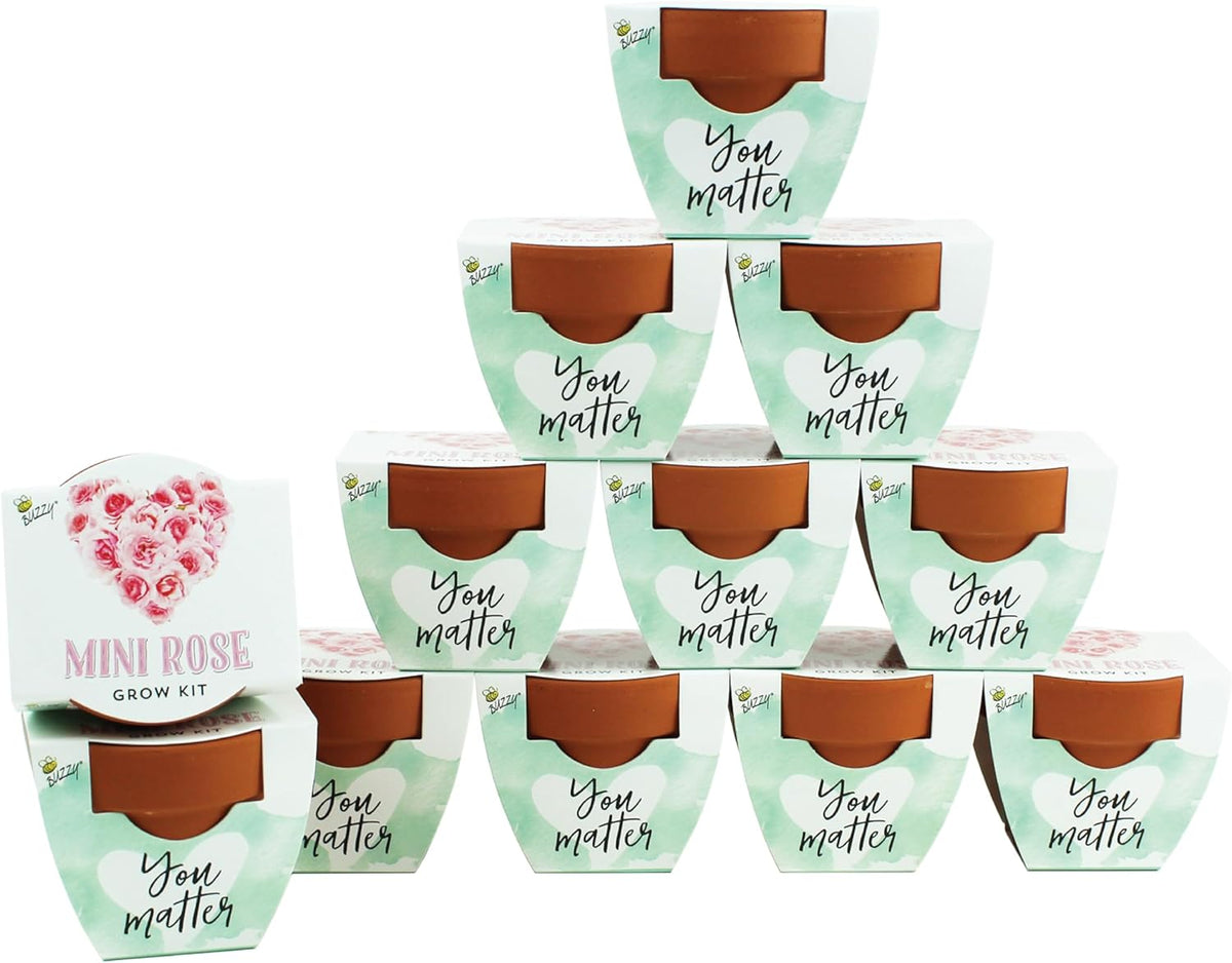 BUZZY Seeds Love Collection Mini Rose Terracotta Grow Pots, 12-Pack Gardening Kit Ideal for Wedding