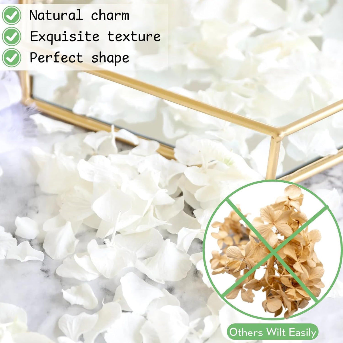 1500Pcs Real Dried Ivory White Hydrangea Flower Petals - Natural smal Petals for Wedding, Party