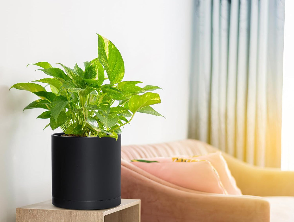 D'vine Dev 4 Pack 6.5 Inch Modern Plastic Plant Pots, Small Garden Planters for Plant with Drainage