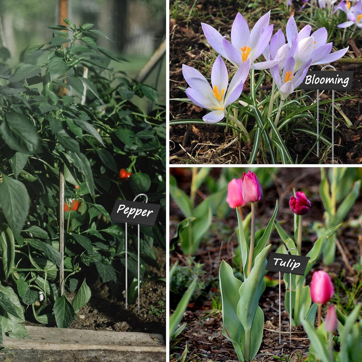 30pcs Plant Labels for Outdoor Garden Waterproof Plant Markers for Outdoor Plants, 11inch Metal