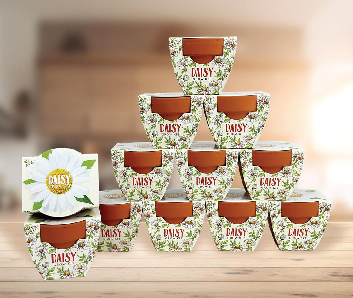 BUZZY Seeds Daydream Mini Terracotta Pots 12-Pack with Daisy Seed Packets – All-in-One Starter Set