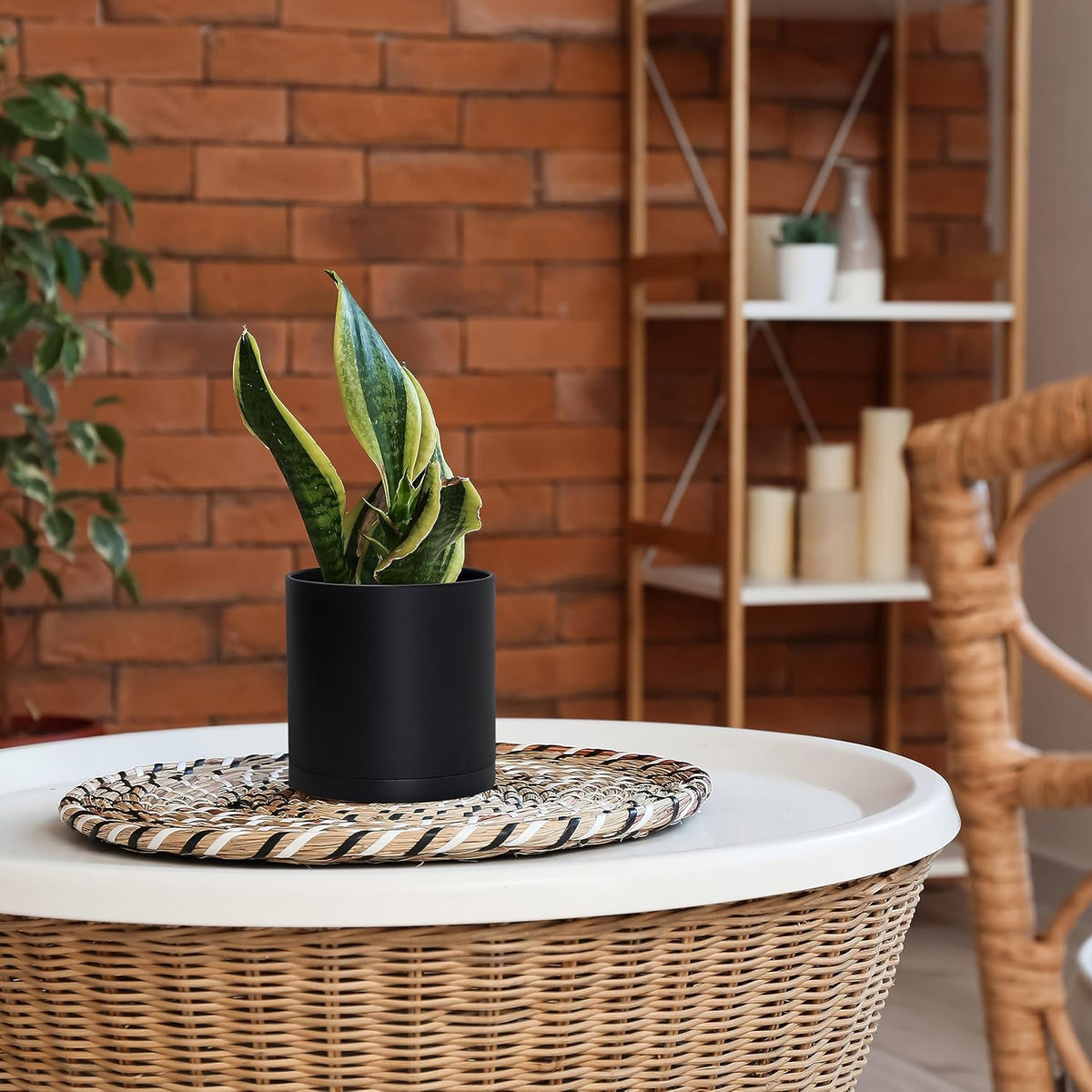 D'vine Dev 2 Pack 6 Inch Modern Plastic Plant Pots, Small Garden Planters for Plant with Drainage
