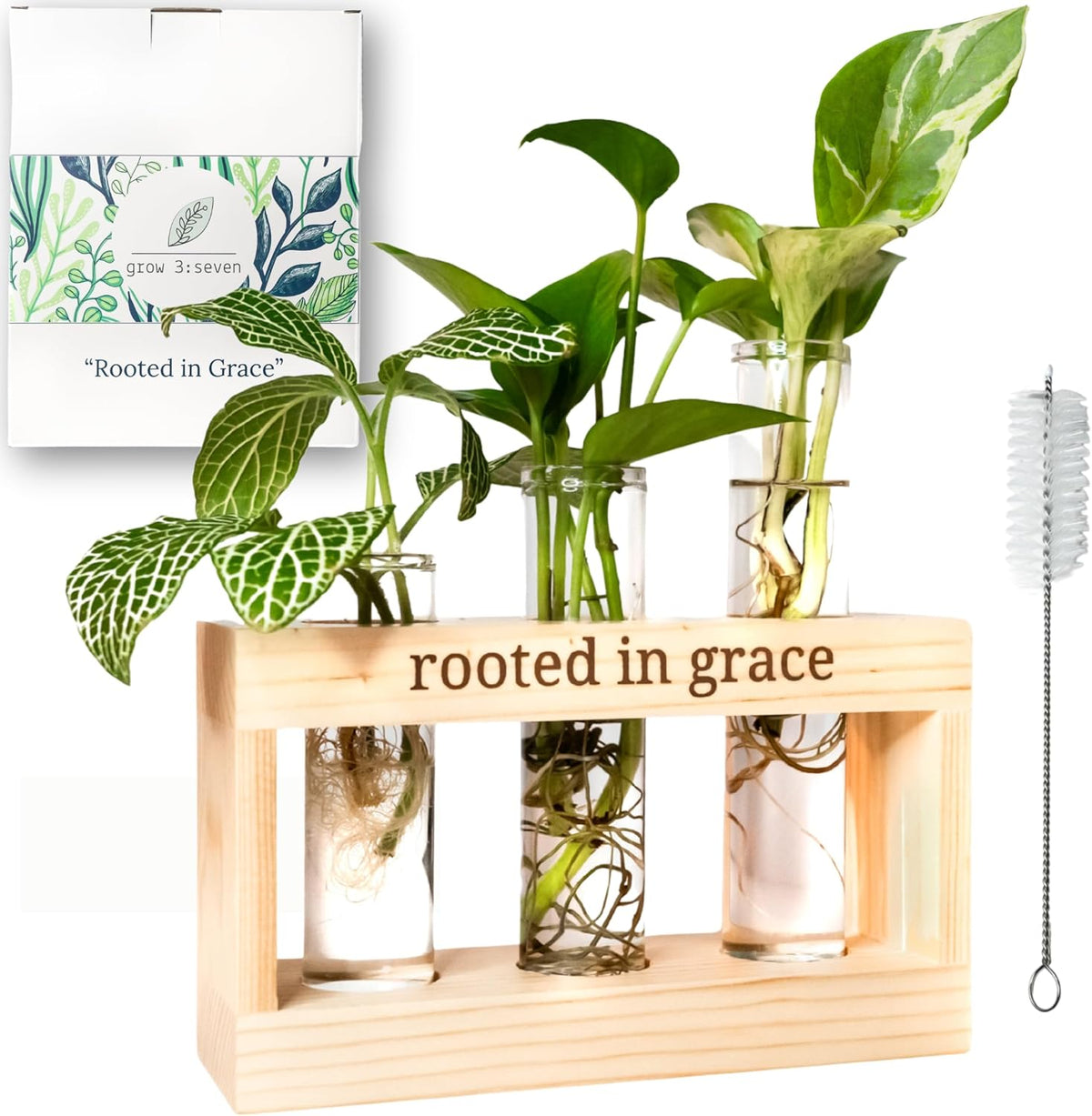 Rooted in Grace: Plant Propagation Stations: Plant Cutting Holder w/ 3 Glass Propagation Vases