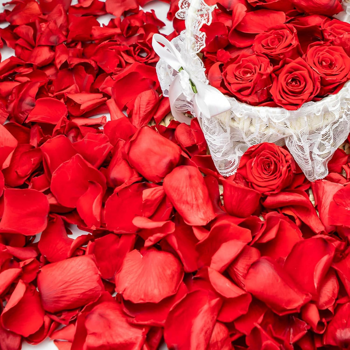 340 PCS Real Red Rose Petals, 3.17oz Dried Flower Confetti Petals for Wedding Flower Girl to Throw
