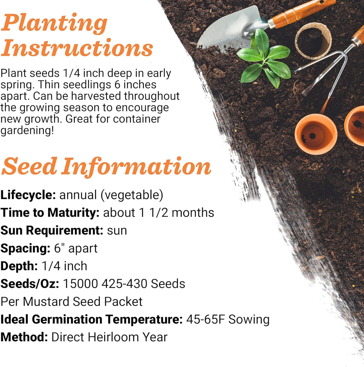 Bentley Seeds with Faith Pre Filled Giant Curled India Seed Packets - 25 Individual Mustard Seed