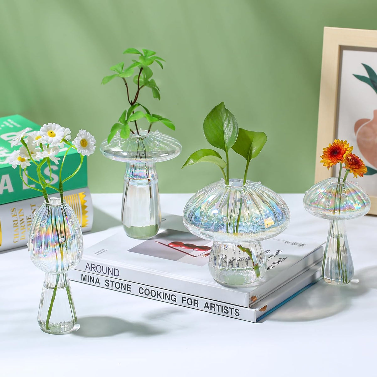 Plant Propagation Station, Set of 6 Clear Mushroom Vase, Propagation Stations, Small Plant