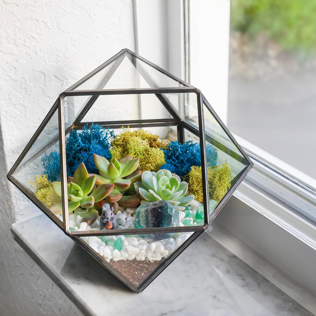 DIY 7" Geometric Terrarium Kit - Build Your Own Glass Terrarium for Adults & Kids with Moss