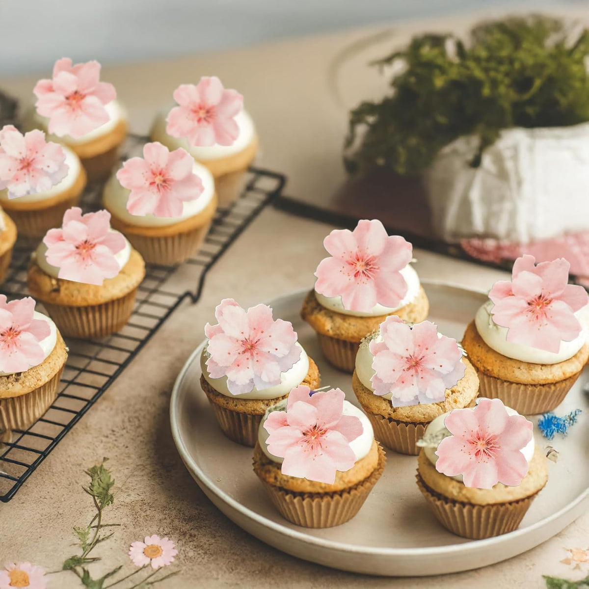 Ephlyn 54Pcs Edible Cherry blossom Cupcake Toppers Spring Bridal Engagement Baby Shower Birthday