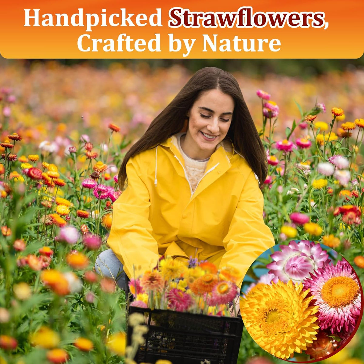 100+ Edible Dried Flowers for Cake Decoration – Food Grade Mixed Natural Colorful Chrysanthemum