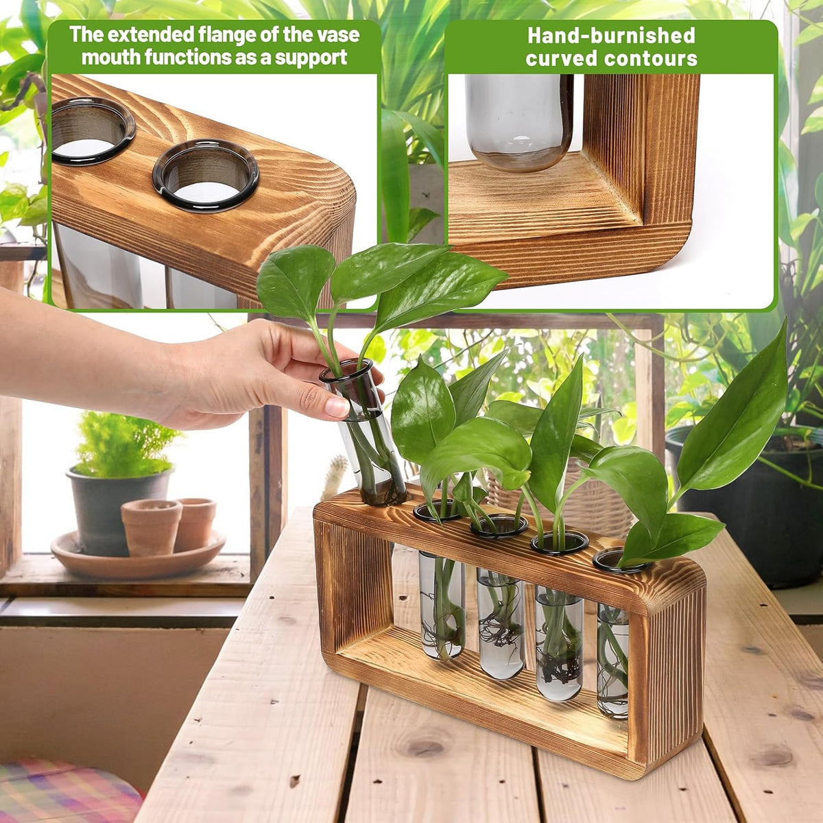Glass Plant Propagation Station with 5 Test Tubes Colorful Planter Vase Birthday Gifts for Women in