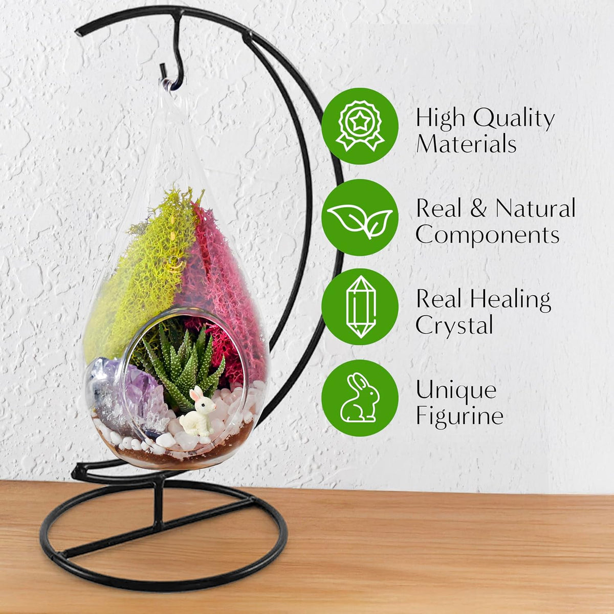 7" DIY Teardrop Terrarium Kit with Live Plants - Hanging Glass Planter with Stand for Adults & Kids