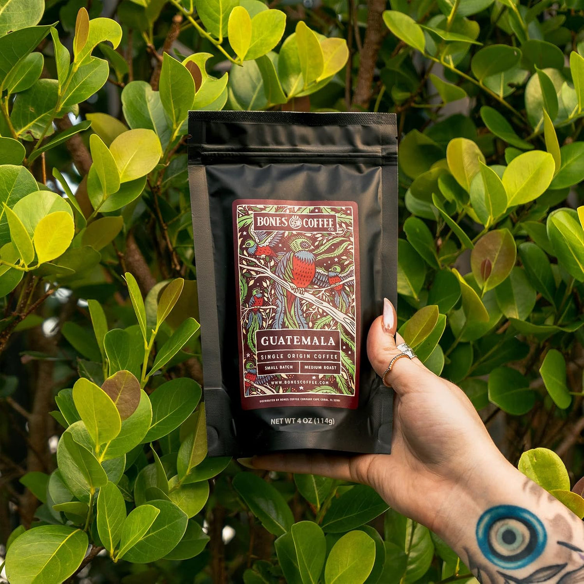 Bones Coffee Company NEW World Tour Sample Pack, Single-Origin Flavored Coffee Medium Roast Arabica