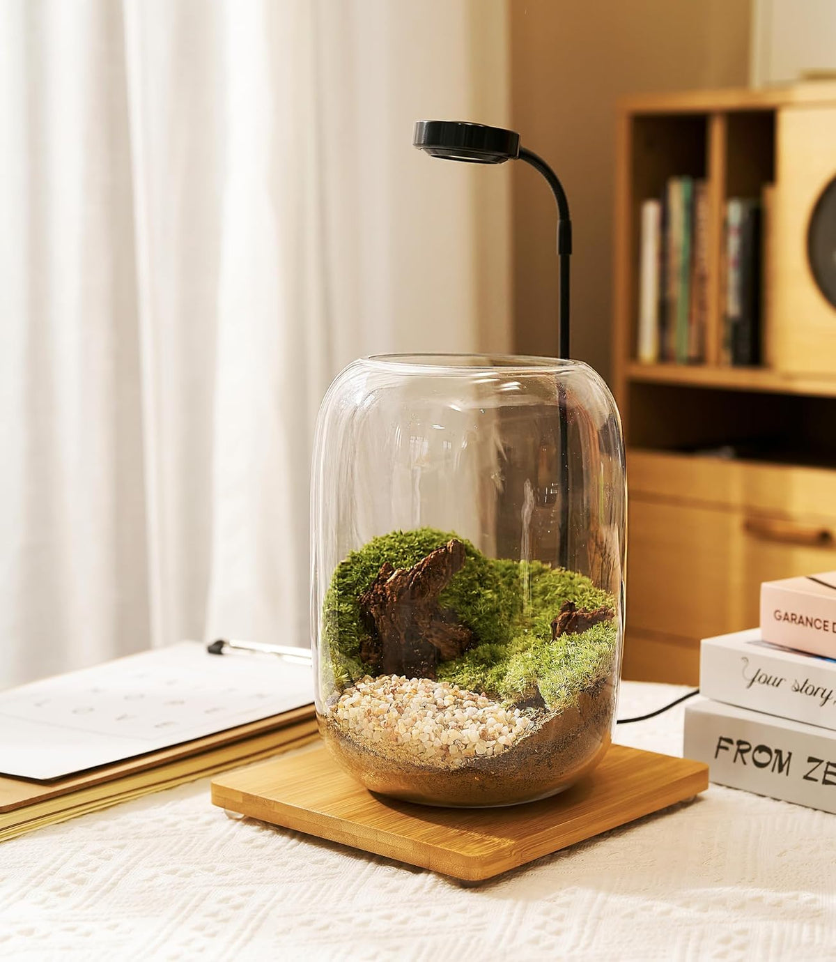 Terrarium Kit with Grow Light, Succulent Plants, Mini Gardening Set - Includes Jar, Tools, Moss