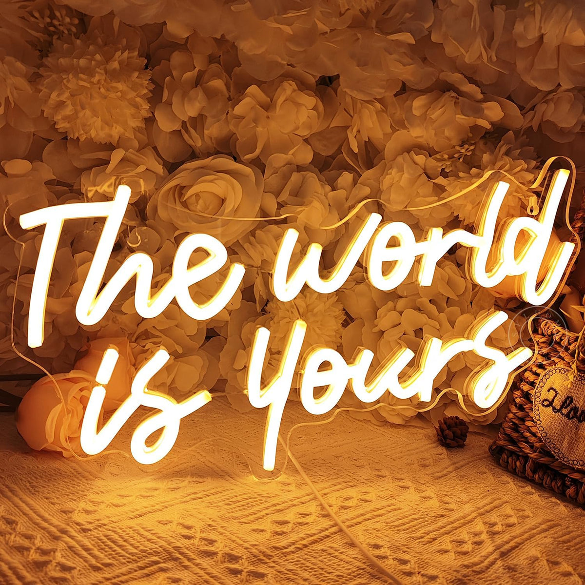 SYLHOME The World Is Yours Led Neon Light Sign Cool Bedroom Game Kids Room Wall Decor Sign Birthday