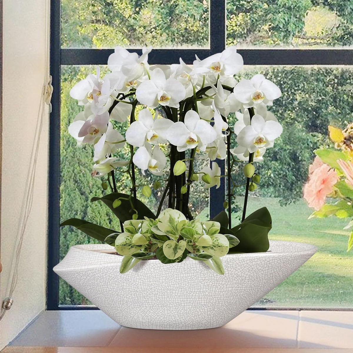 Bonsai Pots - 18 Inch Ceramic Plant Pot for Bonsai Tree, Modern Indoor & Outdoor Succulent Planter