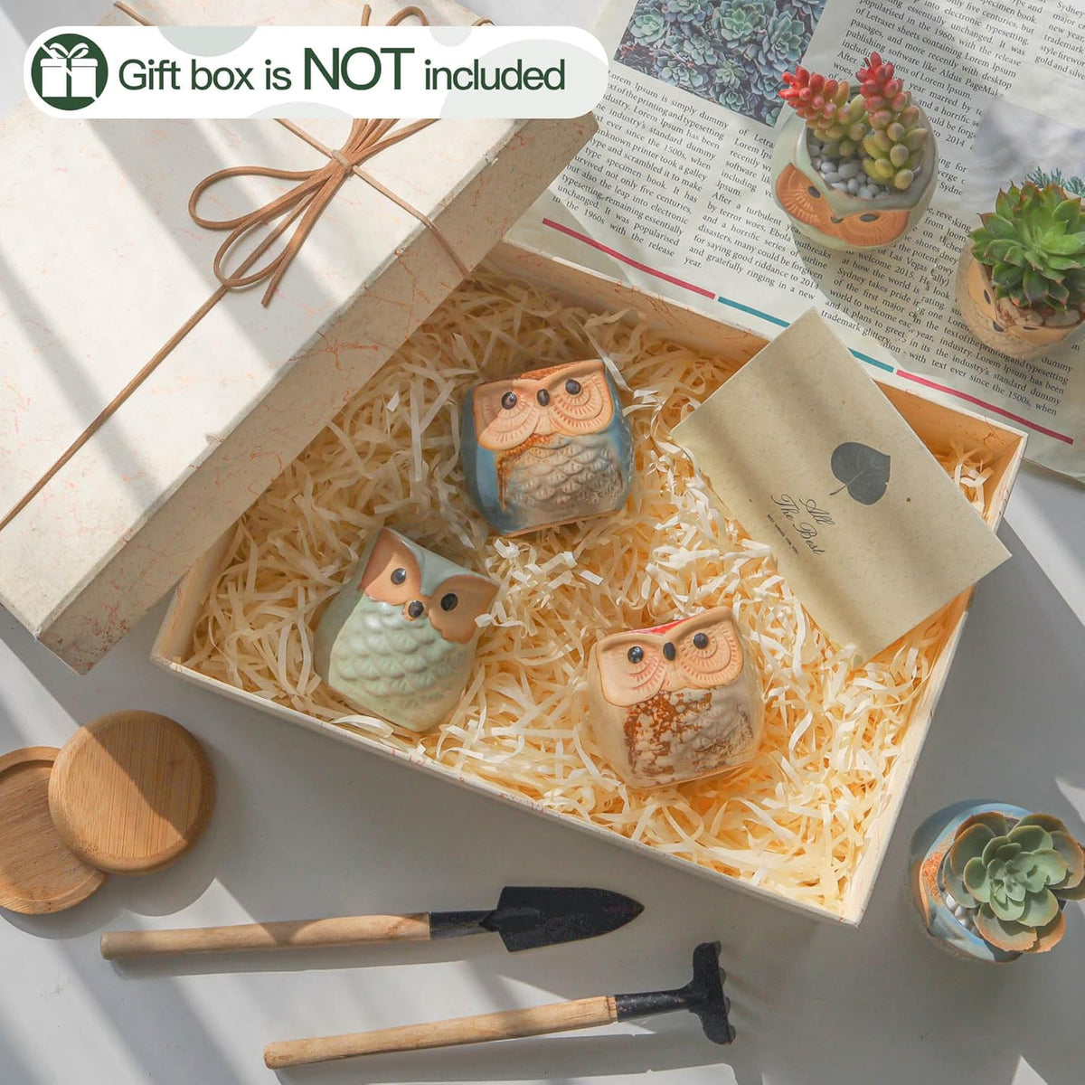 T4U 2.5 Inch Owl Ceramic Succulent Planter Pots with Drainage Hole Set of 6, Mini Cute Flower Pots