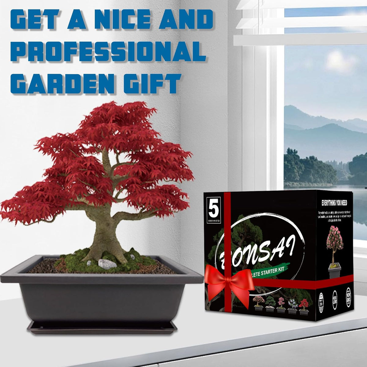 Bonsai Starter Kit, 5 Seeds Growing into Acacia, Wisteria, Sakura, Red Maple and Black Pine
