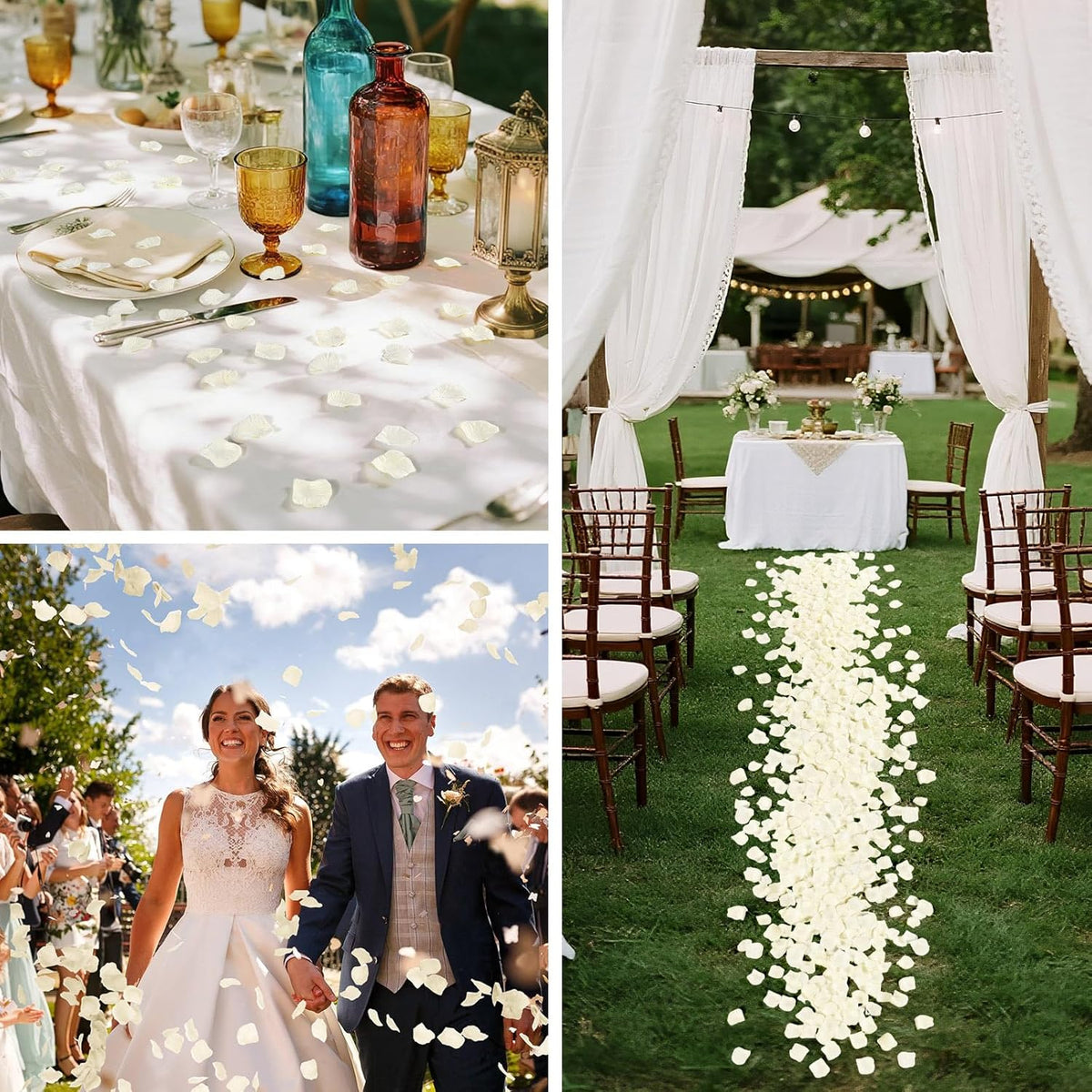1000 Pcs Beige Rose Petals Artificial Silk Flower Petals Romantic Decorations for Wedding