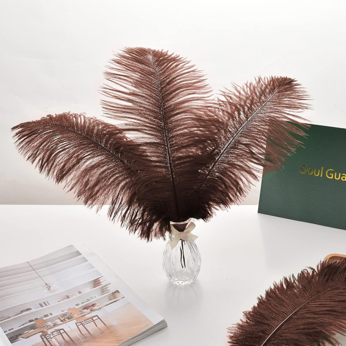 Ballinger Brown Big Ostrich Feathers - 24pcs 12-14inch Large Feathers for Party Centerpieces