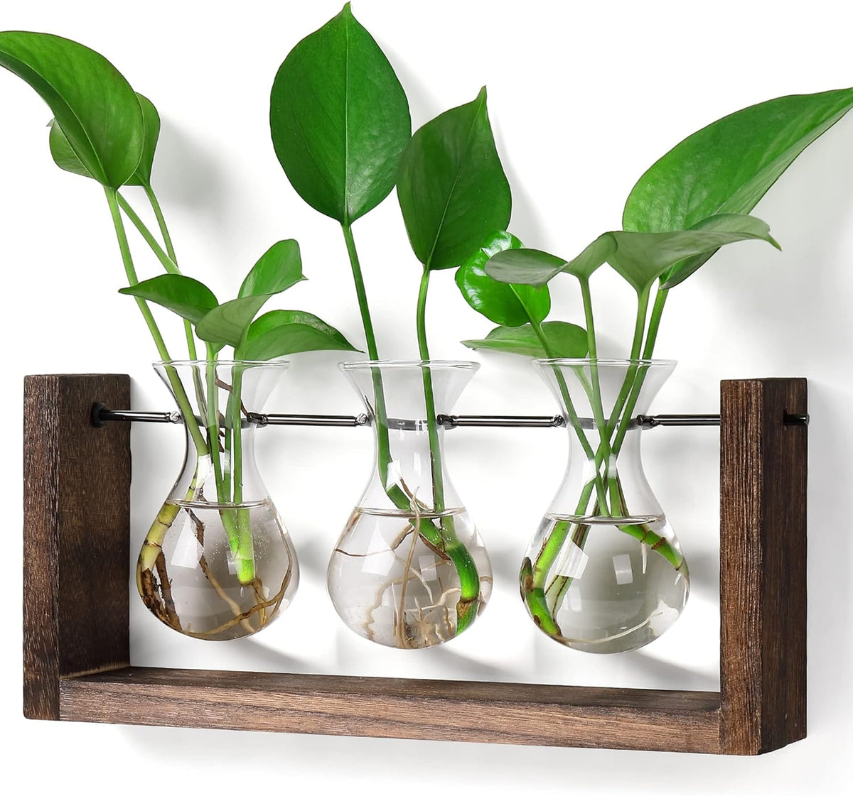 YIBOT Wall Hanging Planter Propagation Station, Plant Terrarium with Wooden Stand, Hydroponics