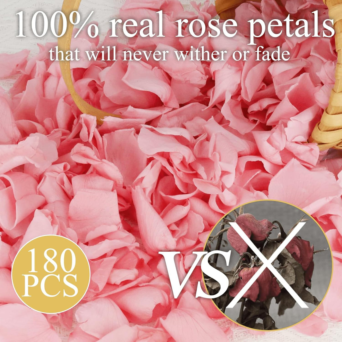 200Pcs Dried Real Pink Rose Petals, Preserved Flower Petals 1.75oz for Gifts Wedding Party Decor