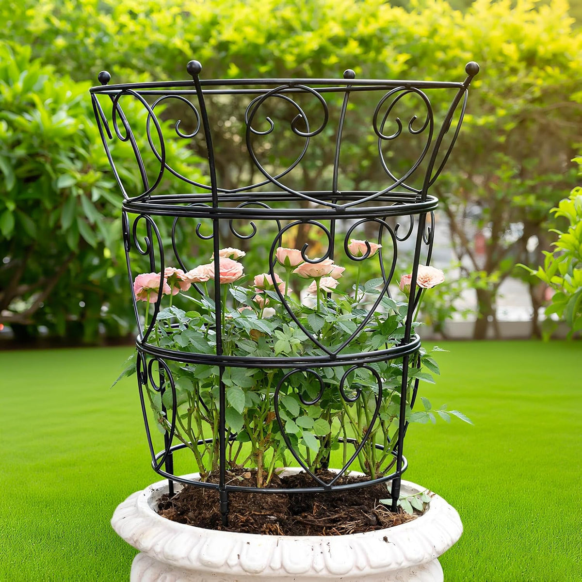 Large Obelisk Trellis Peony Cage 24.6x17 Inches - Premium Metal Plant Support for Outdoor Gardens
